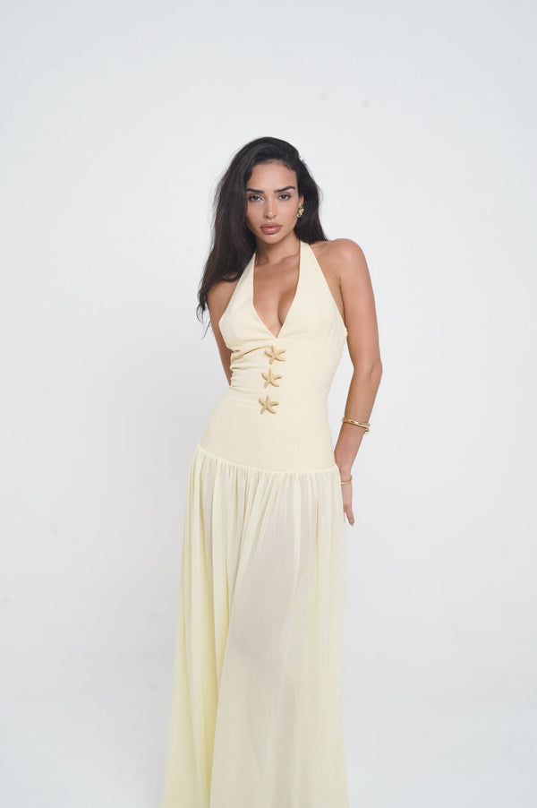 Astraé Halter Dress