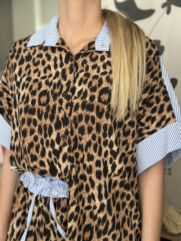 Wild & Buttoned Set