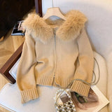 Aurora Luxe Hoodie